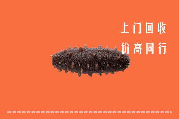 高价求购：淮北市回收海参