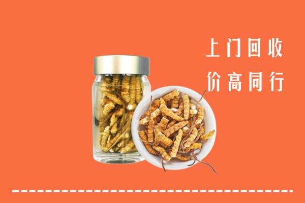 淮北市回收冬虫夏草